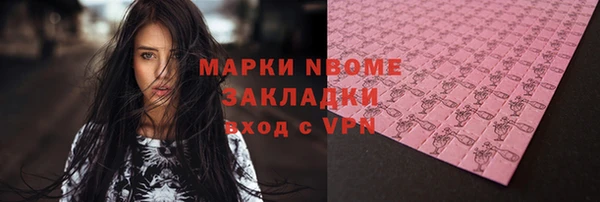 дмт Алексин