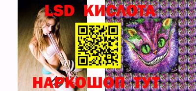 гашик Берёзовский