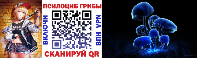 Псилоцибиновые грибы прущие грибы  ссылка на мегу маркетплейс  Благодарный  наркошоп 