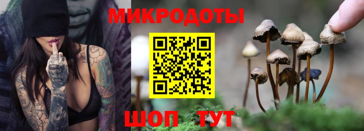 Псилоцибиновые грибы Psilocybe  Вход с VPN  Благодарный 