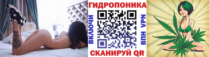 Бошки Шишки MAZAR  Благодарный 