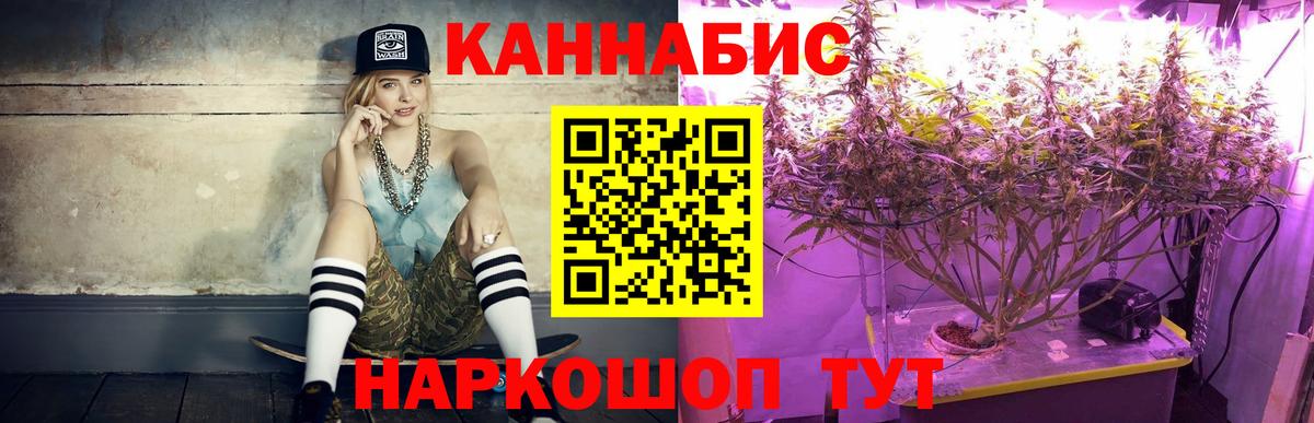 Канабис тримм  Бошки Шишки Bruce Banner  МАРИХУАНА ГИДРОПОН  Каннабис Bruce Banner  Вход с VPN  Благодарный 